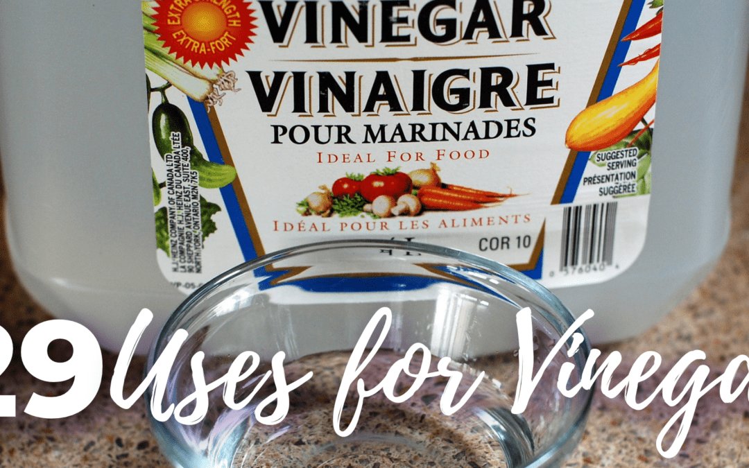 29 Ways to Use Vinegar in Your Home